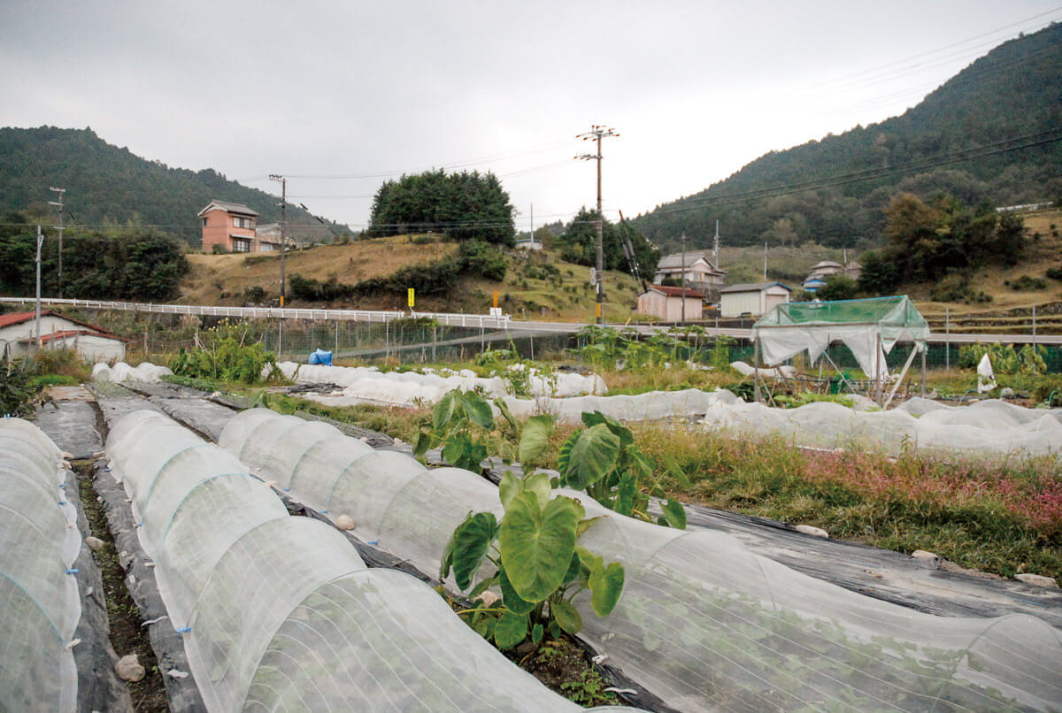 農家民宿 やまもと